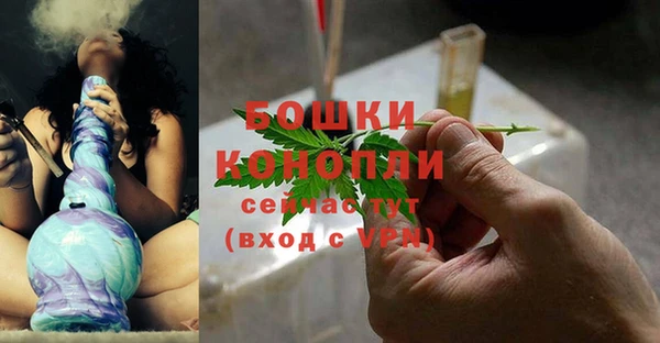 прущие грибы Вязьма