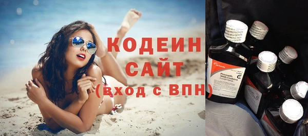 прущие грибы Вязьма