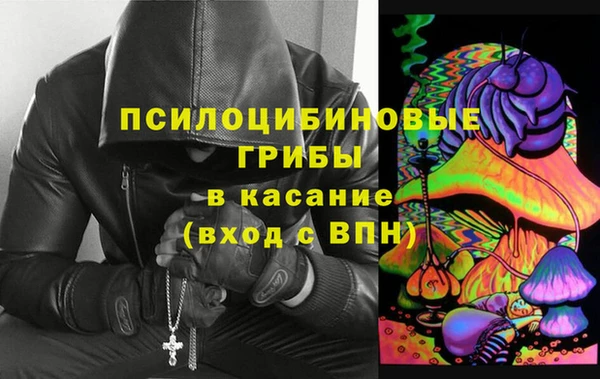 герыч Вяземский