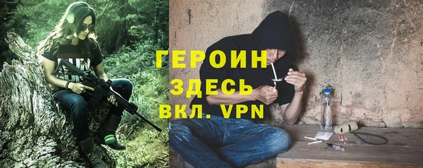 прущие грибы Вязьма