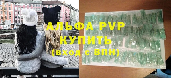 прущие грибы Вязьма