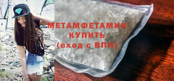 прущие грибы Вязьма