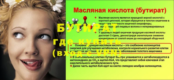 прущие грибы Вязьма
