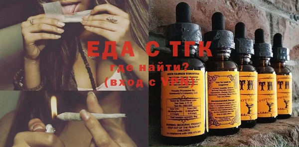 прущие грибы Вязьма