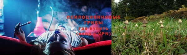 герыч Вяземский