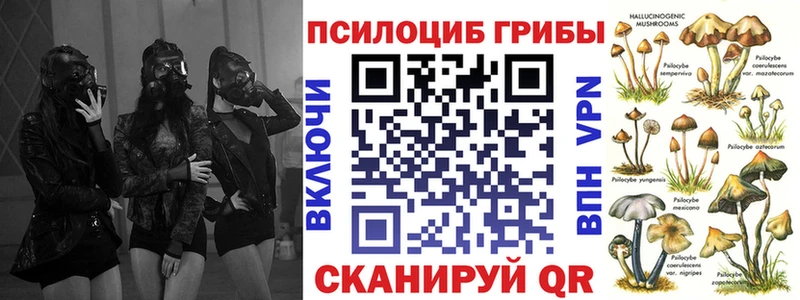 гидра зеркало  сколько стоит  Чита  Галлюциногенные грибы MAGIC MUSHROOMS 